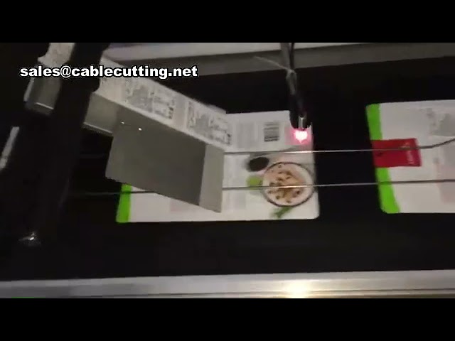 Automatic Labeling Machine,Flat Bag Labeling Machine,Plastic Bag Labeling Machine