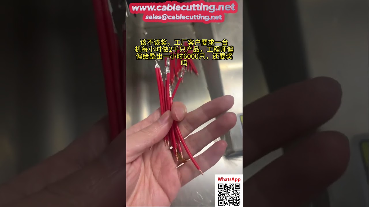 5-Wire Multi-Function Crimping and Tinning Machine with Optional Dual-Head